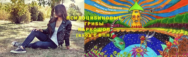 герыч Алексин